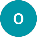 orr meir profile picture